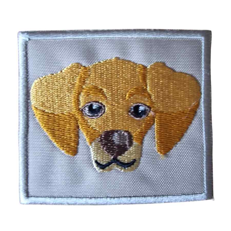 PATCH DE CÃO GOLDEN RETRIEVER