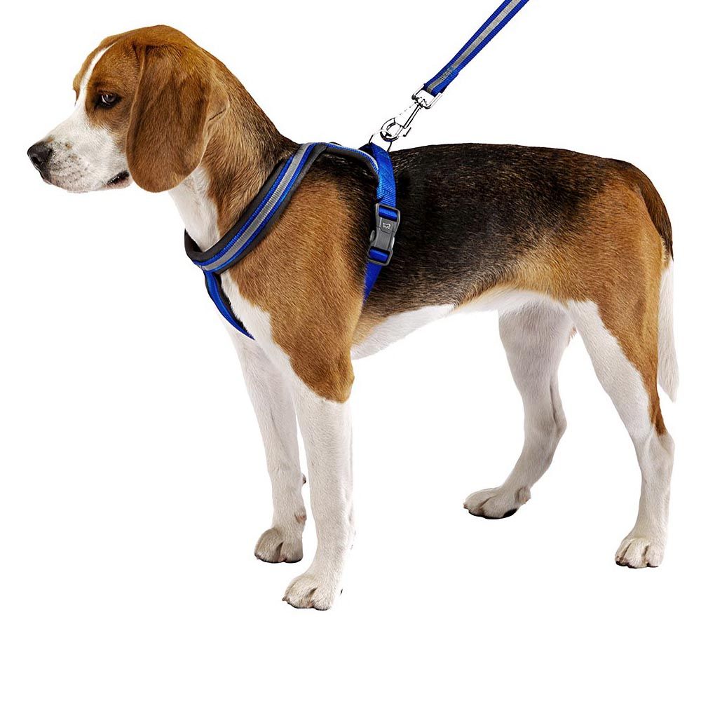 Harnais pour chiens taille moyenne daytona cross m, réfléchissant, rembourrée, avec boucle magnétique