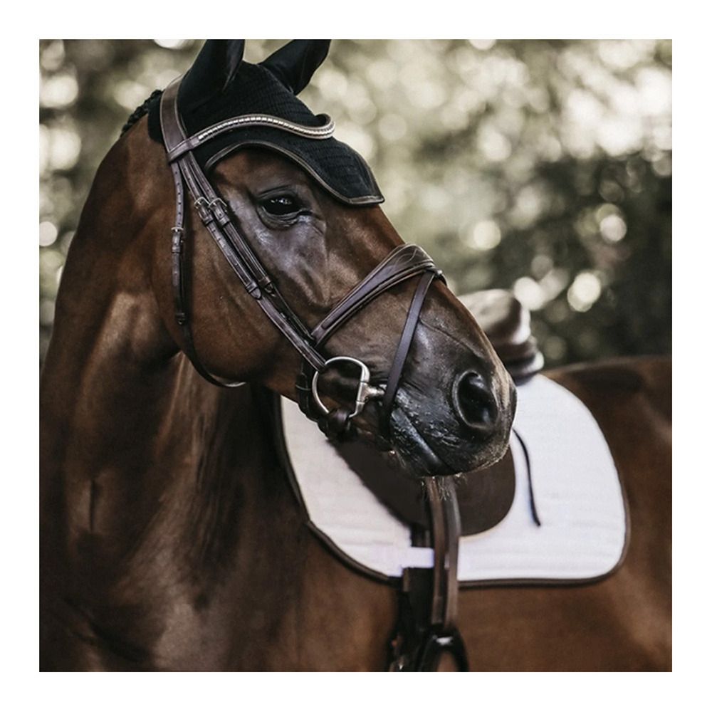 Kentucky WELLINGTON LEATHER - Bonnet anti-mouches black