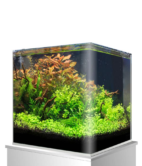 amtra Aquarium Nanotank