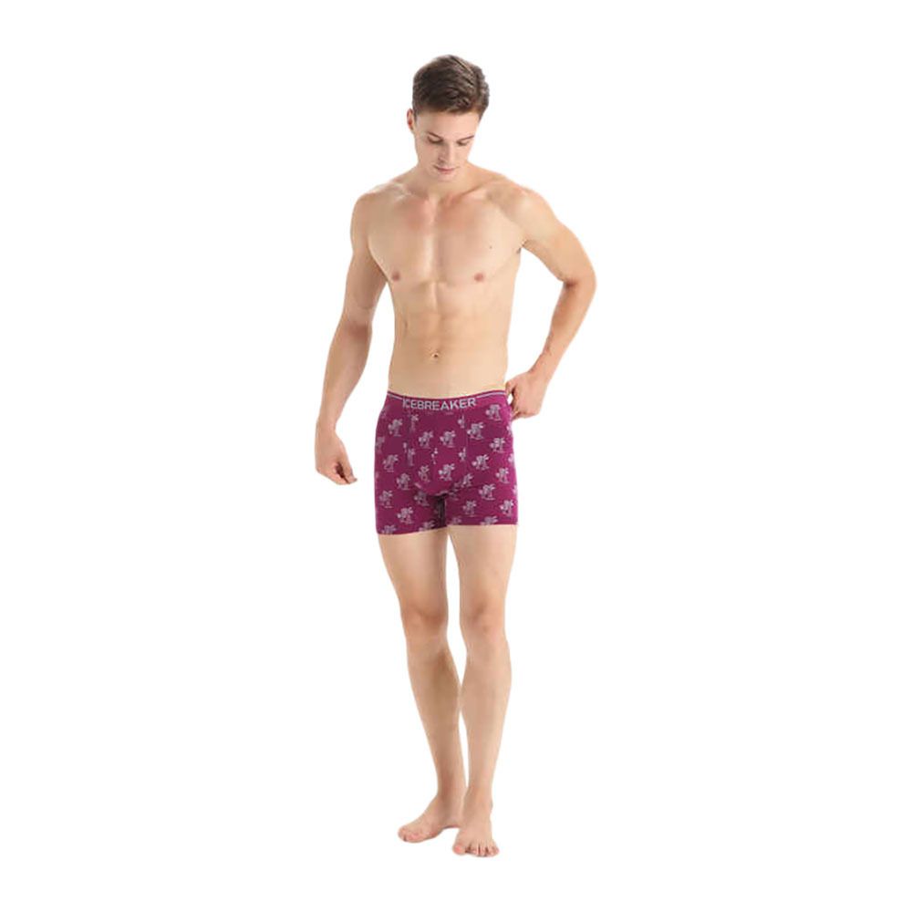 Icebreaker ANATOMICA - Boxer Homme go berry/aop