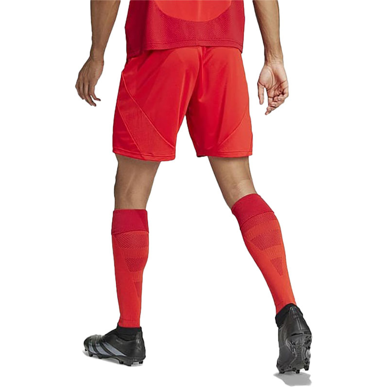 adidas Bayern München Thuis Tenue