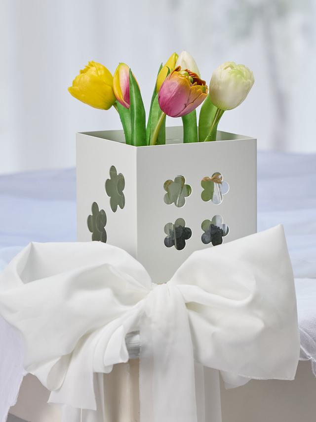 Design-Vase 2-in-1