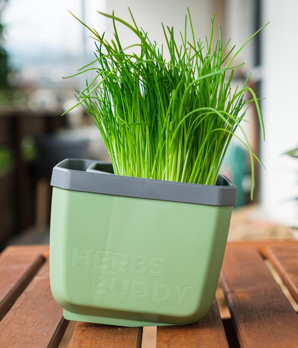 Gusta Garden Kräutertopf Herbs Buddy, ca.