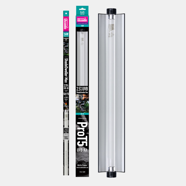 Arcadia Pro T5 SET Max Shadedweller 2,5%UVB 14W