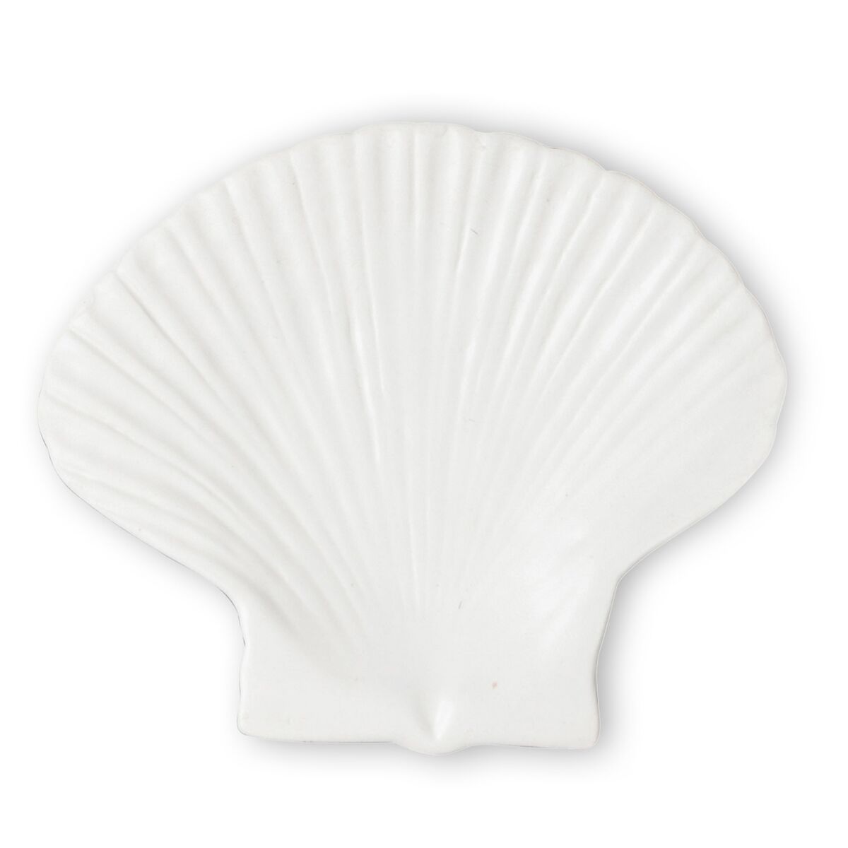Shell asjett small