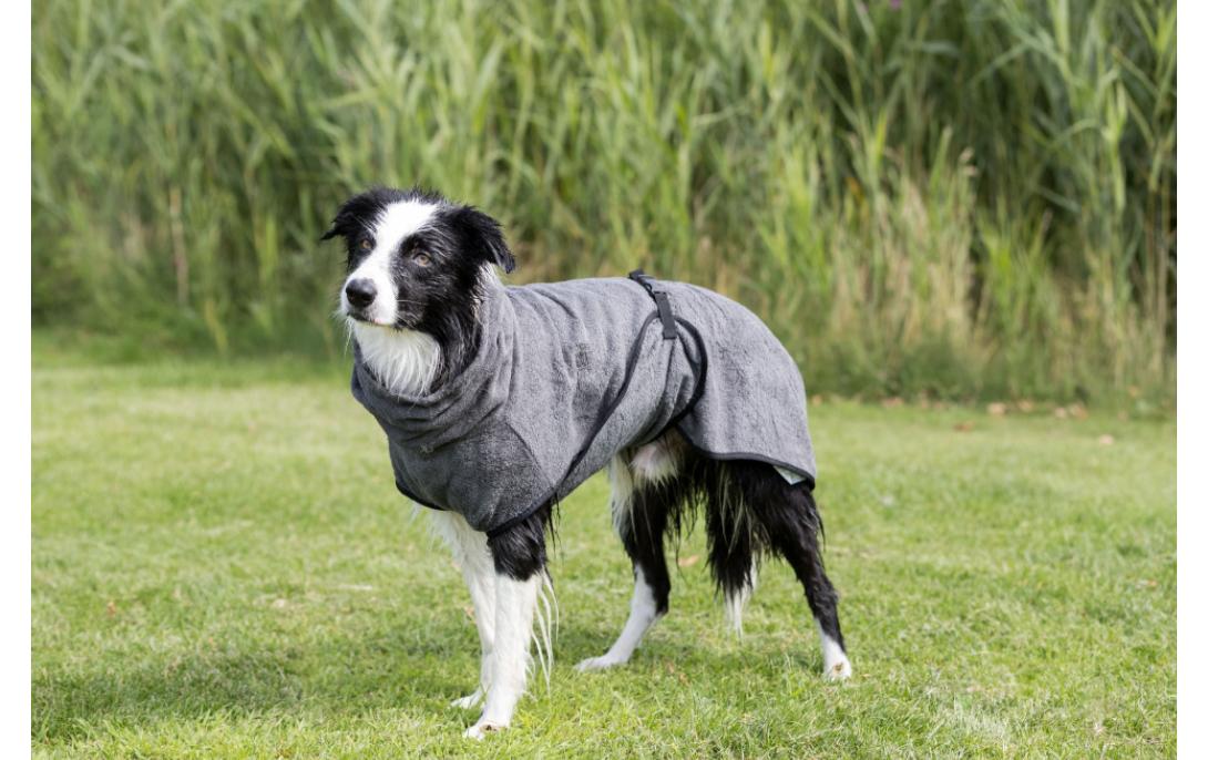 Bademantel Frottee, LHundebademantel