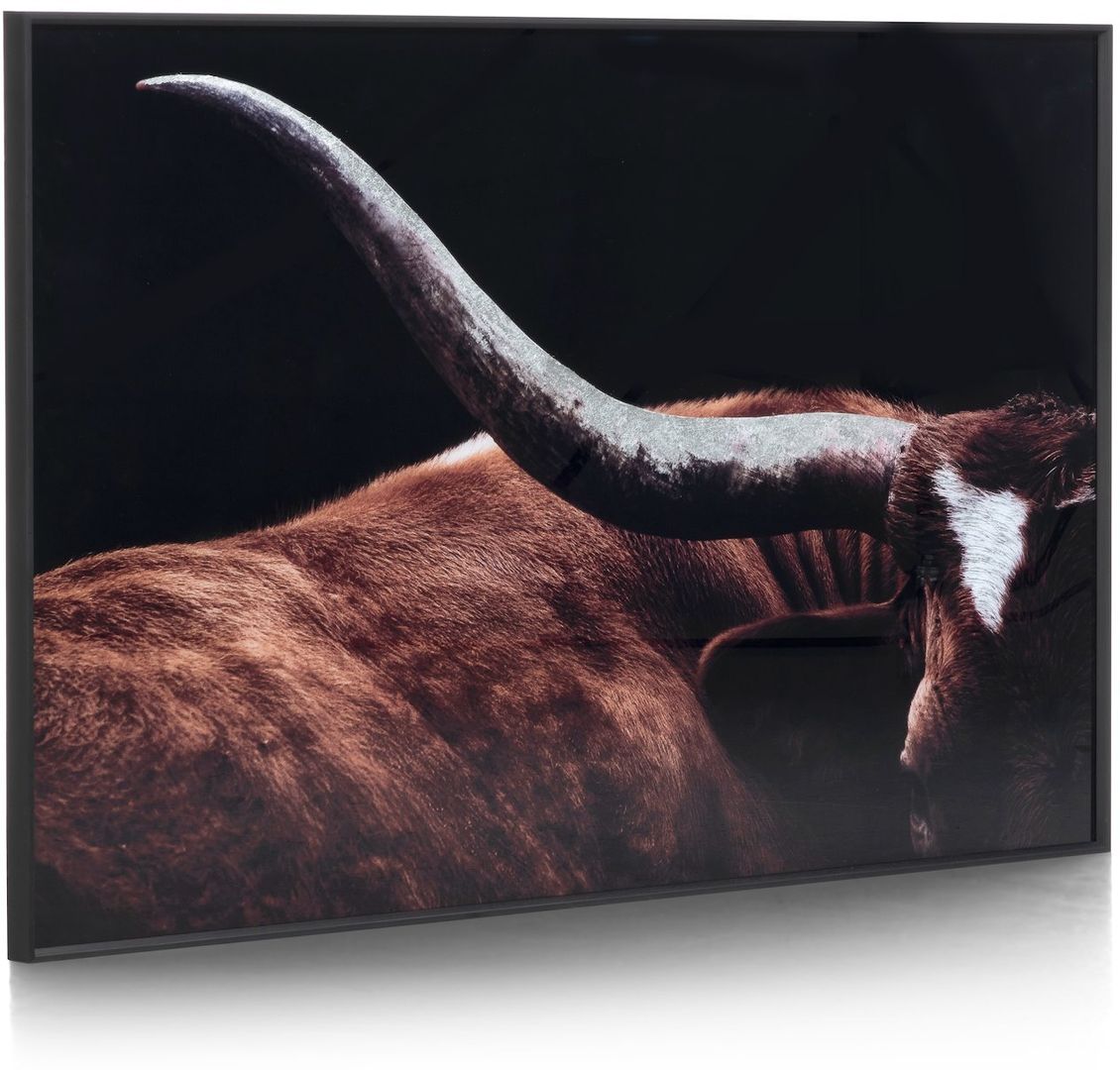 COCO maison   Rodeo Schilderij