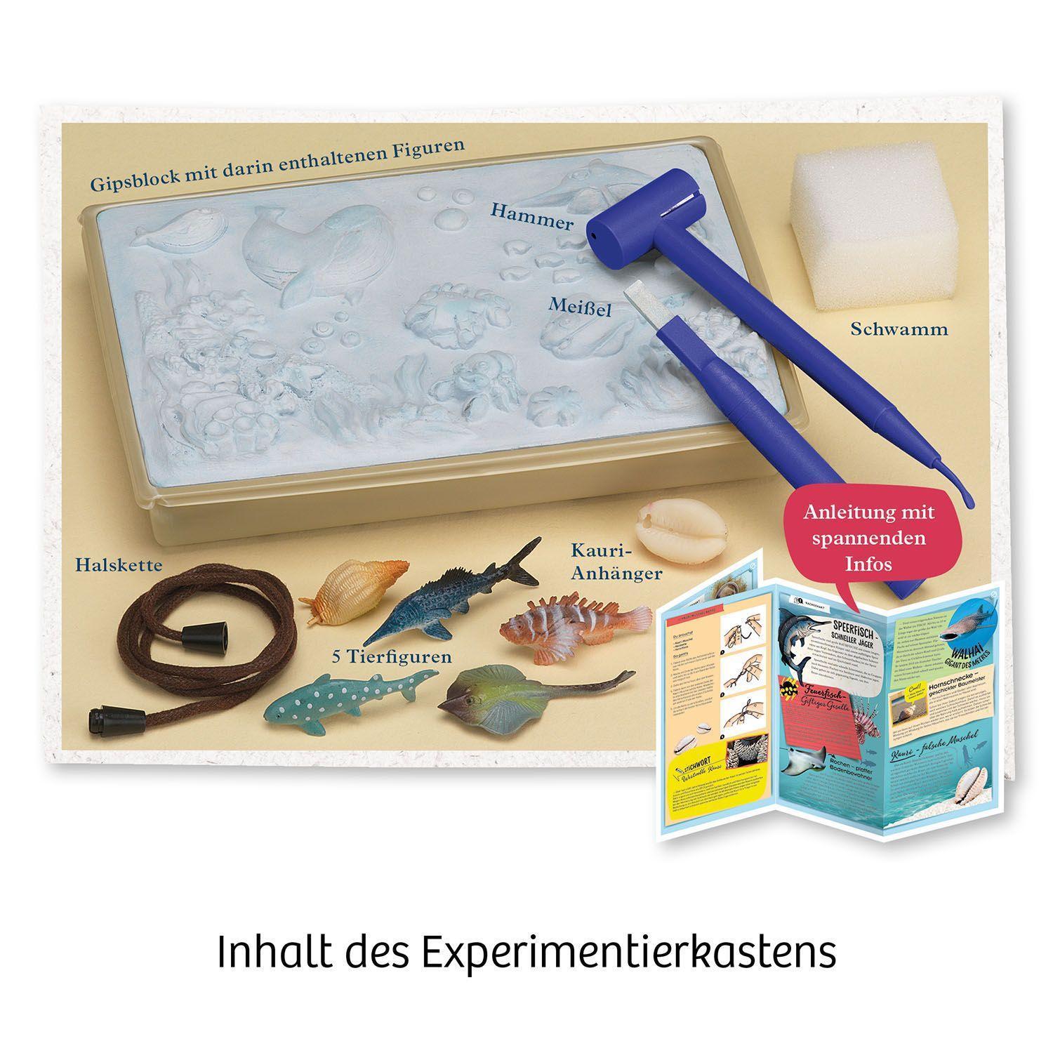 Mitbring-Experimente: Meeres-Abenteuer