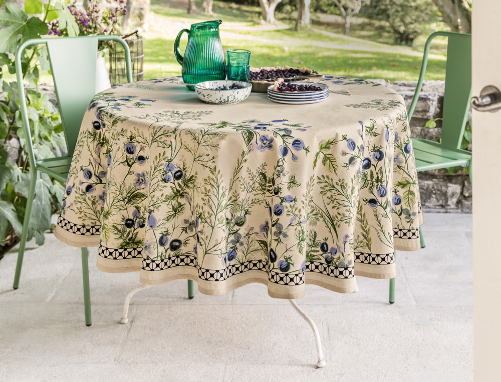 Nappe-Brimbelles