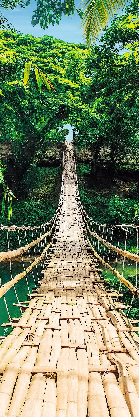 Poster Hängebrücke Jungle, 53 x 158 cm