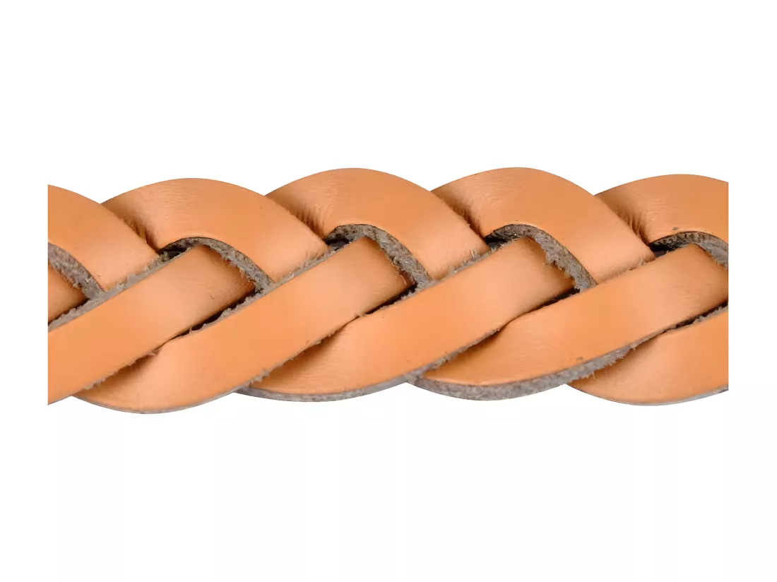 Collier pour Chien Réglable 