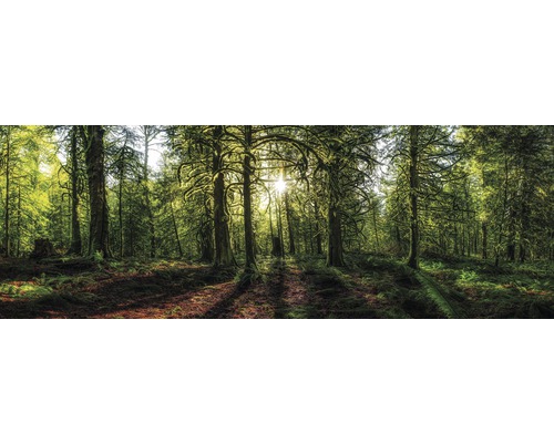 Decoratief paneel Gouden Woud 48x138 cm
