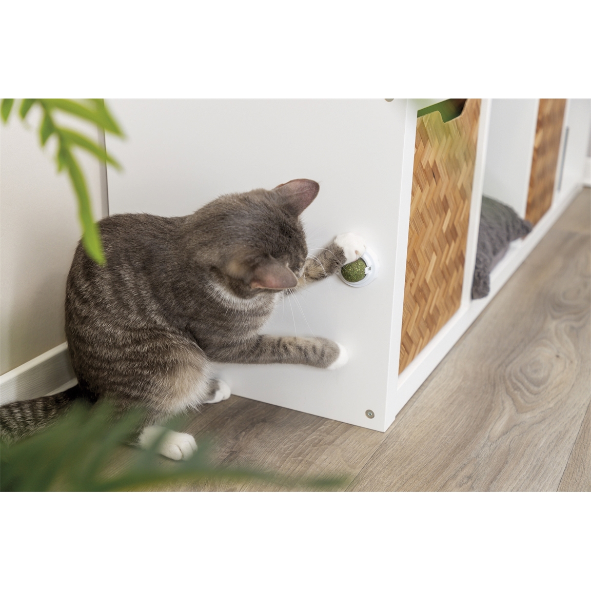 Balle herbe à chat avec support