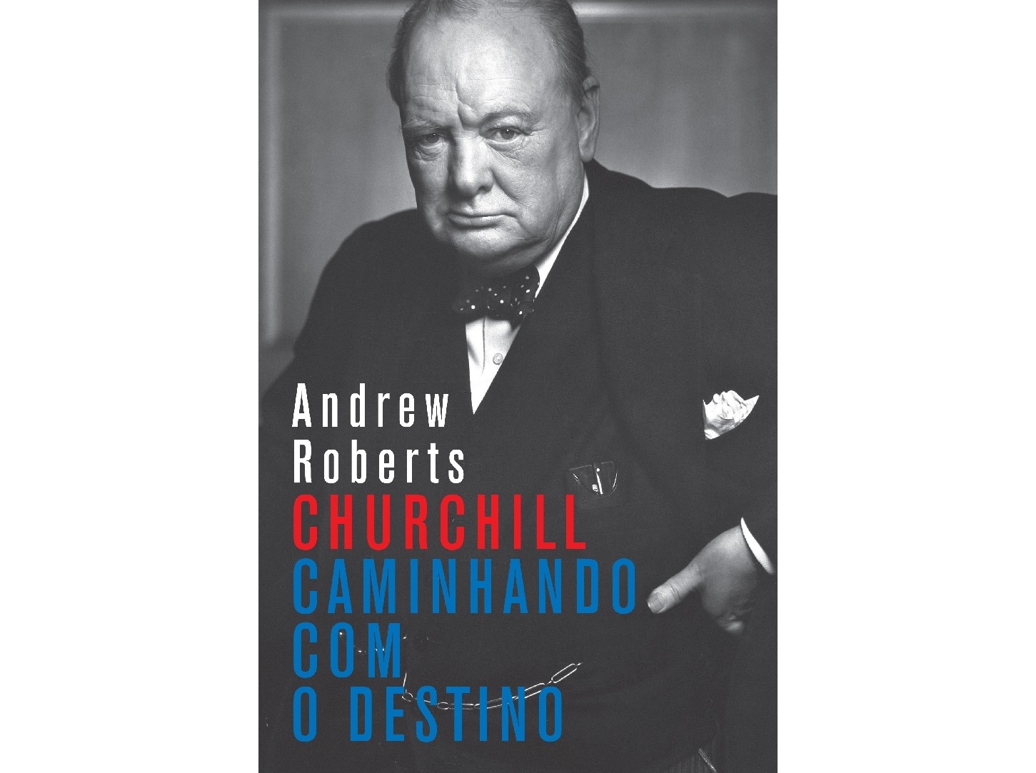LIVRO CHURCHILL - CAMINHANDO COM O DESTINO DE ANDREW R.