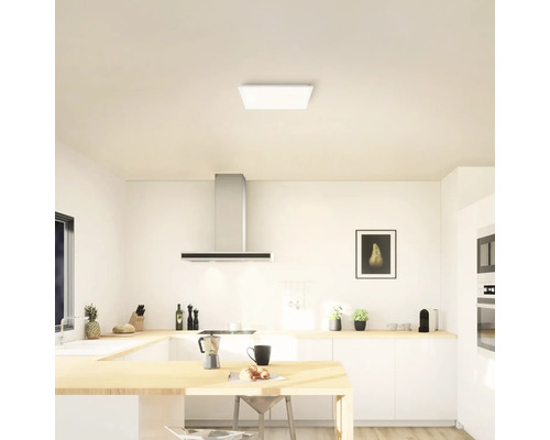 LED plafond opbouwpaneel 24W 2700 lm 2700 K 5x45x45 cm wit
