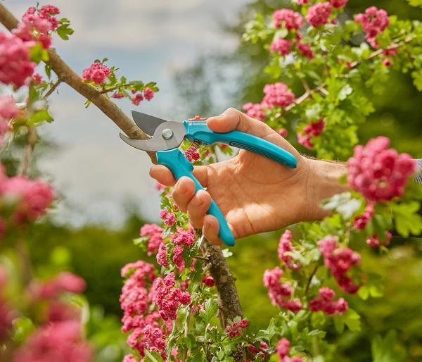 GARDENA Gartenschere EasyCut Tray