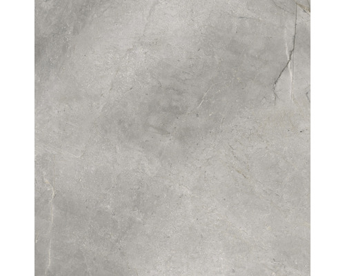 Porseleinen steengoed wand- en vloertegel Lido 119,7 x 119,7 x 0,8 cm Zilver mat gerectificeerd