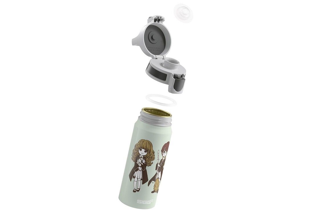 SIGG Flasche WMB one Harry Potter Stand Together