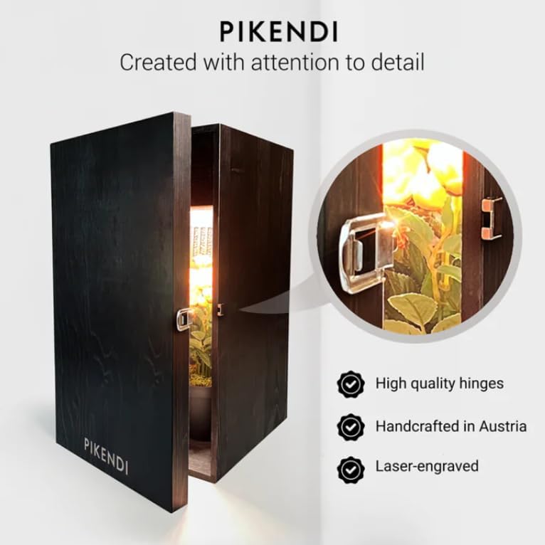 Bonsanto Pikendi Premium Schwarz Mini Grow Box, Komplett Set mit leisem Aktivkohlefilter & 35W LED, Handgefertigter Holzschrank, Kompakte, Geruchsfrei Indoor-Grow Lösung