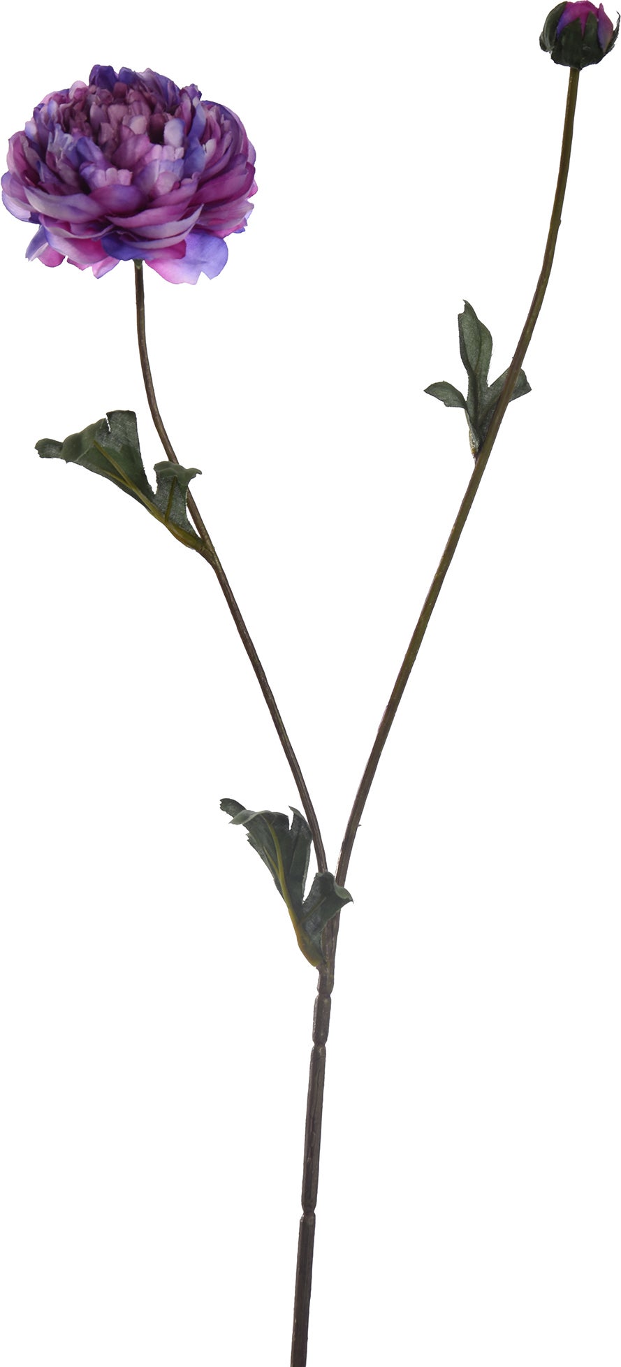 Jasaco PURE kunstbloem Ranonkel paars 62 cm