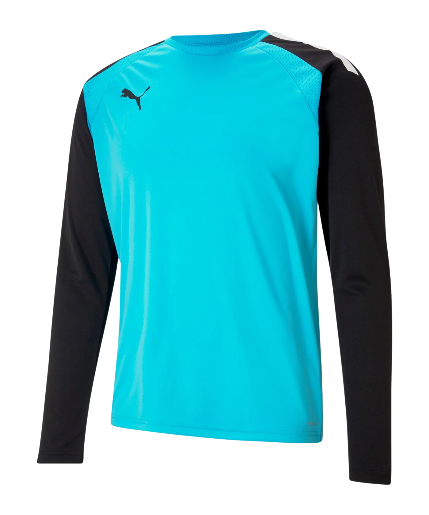 PUMA teamPACER Torwarttrikot langarm Blau F40