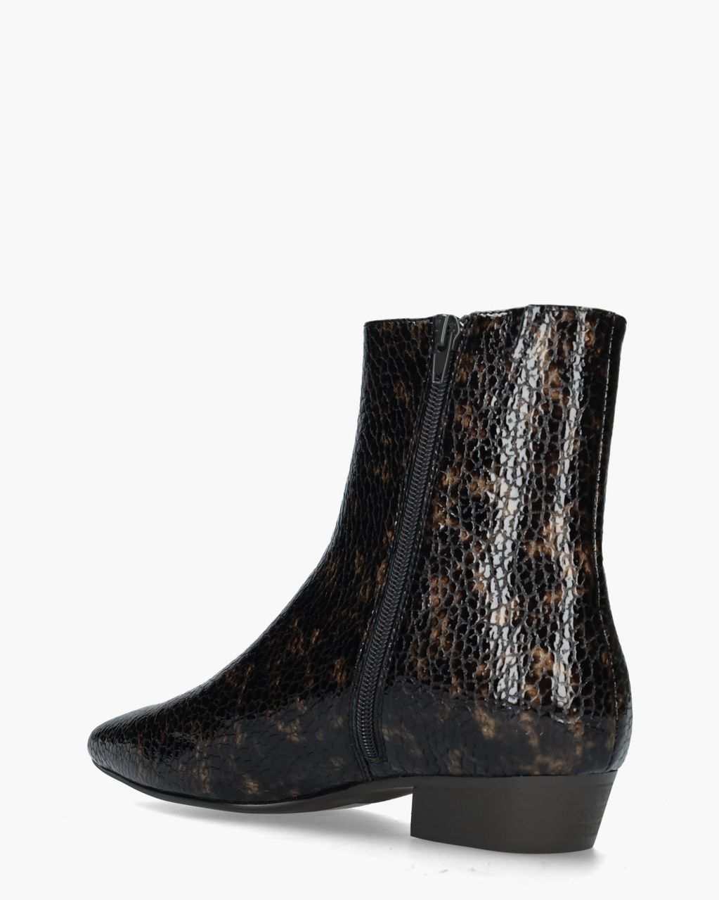 Di Lauro Camelia Donkerbruin Dames Enkelboots