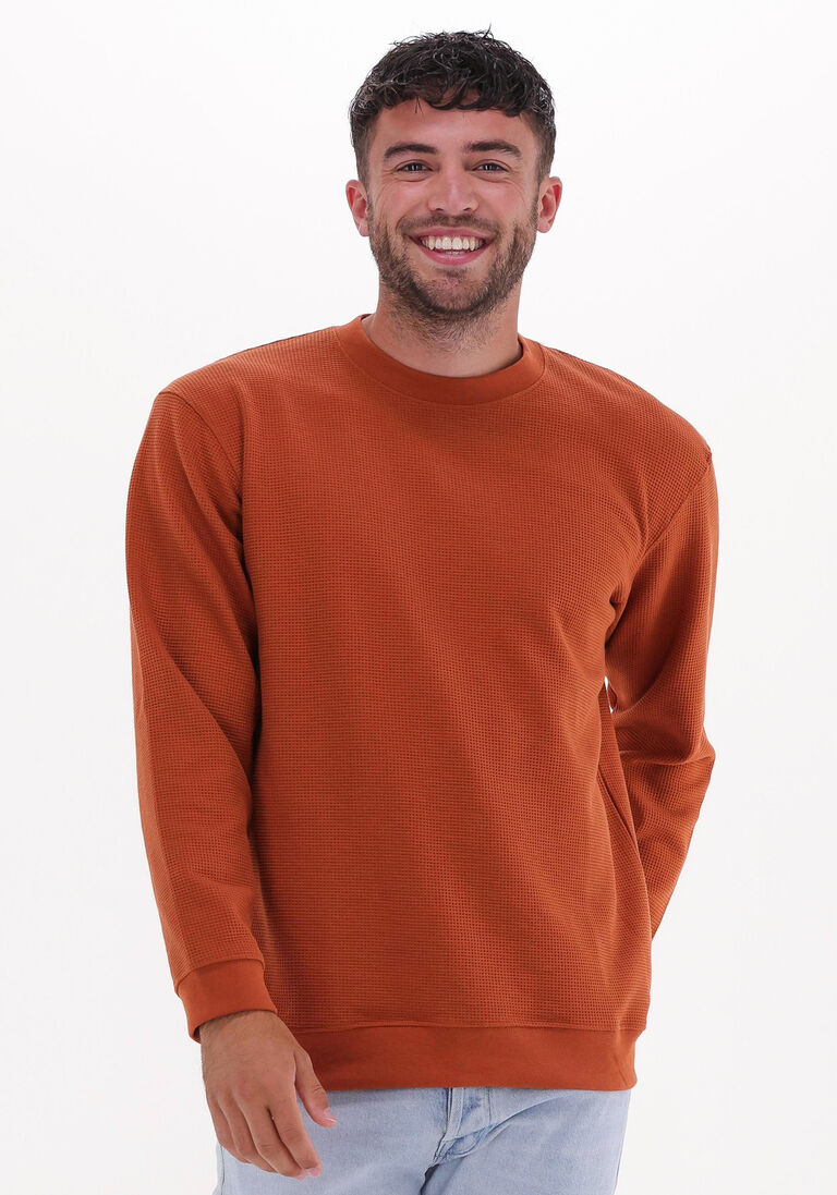 SELECTED HOMME roest selected homme trui slhrelaxmorell crew neck sweat w