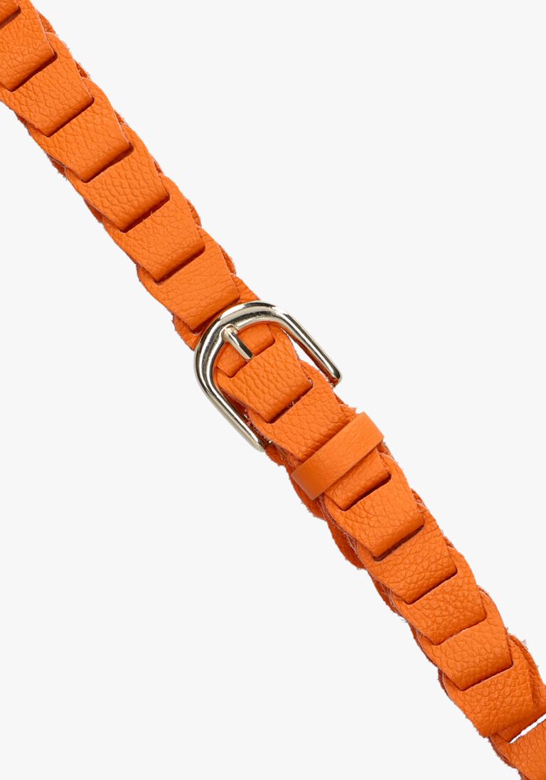 NOTRE-V oranje notre-v riem berna