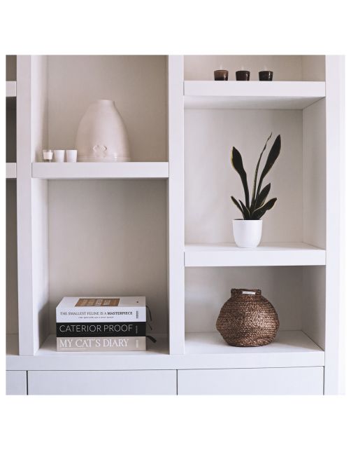 District 70 Caterior Coffee Table Book - Kattenspeelgoed - 36x25x6 cm Zwart