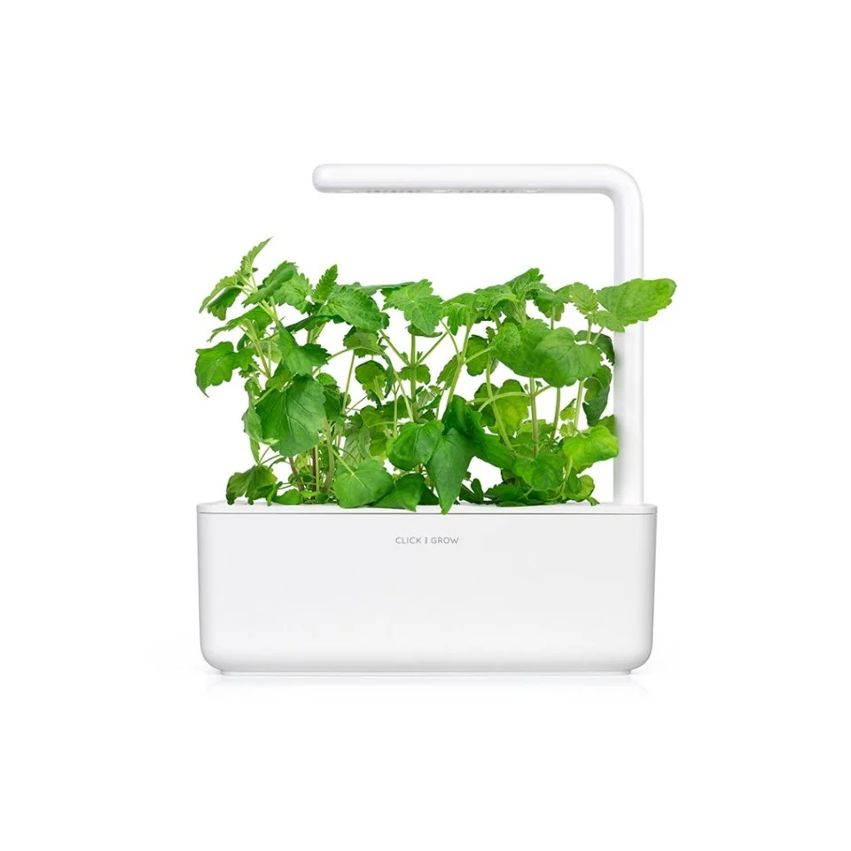 Click and Grow - Smart Garden Refill 3-pak - Catnip