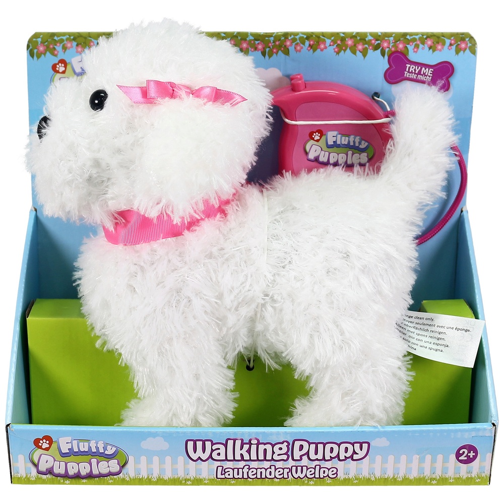 Flauschige Welpen, die mit dem Pudel spazieren gehen