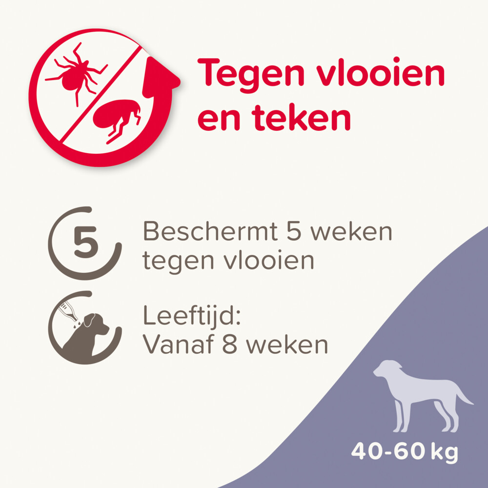 Beaphar Fiprotec Anti Teken- & Vlooiendruppels Hond 40 - 60 kg4 stuks