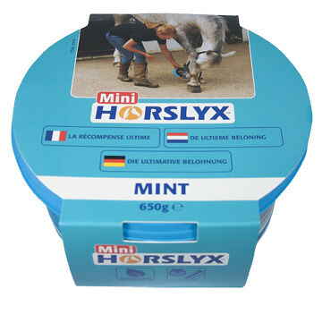 Horslyx Mini - Liksteen - 650 Gram - munt