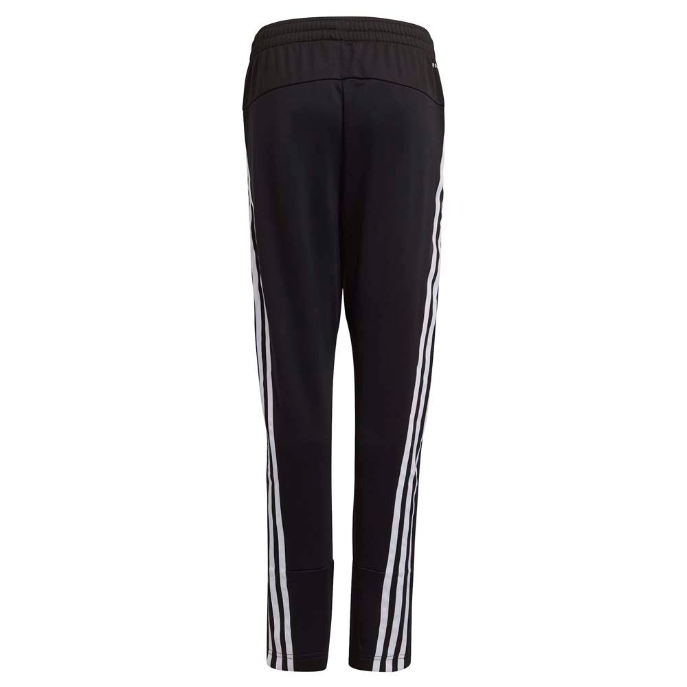 adidas  B AR 3S PANT