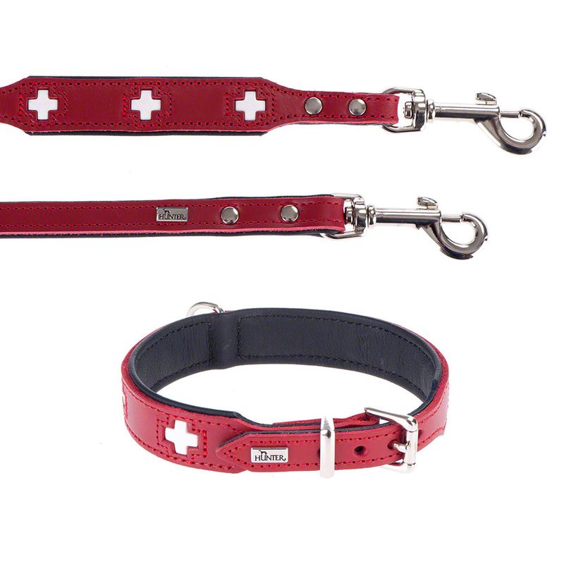 Lot Hunter : collier + laisse Swiss en cuir