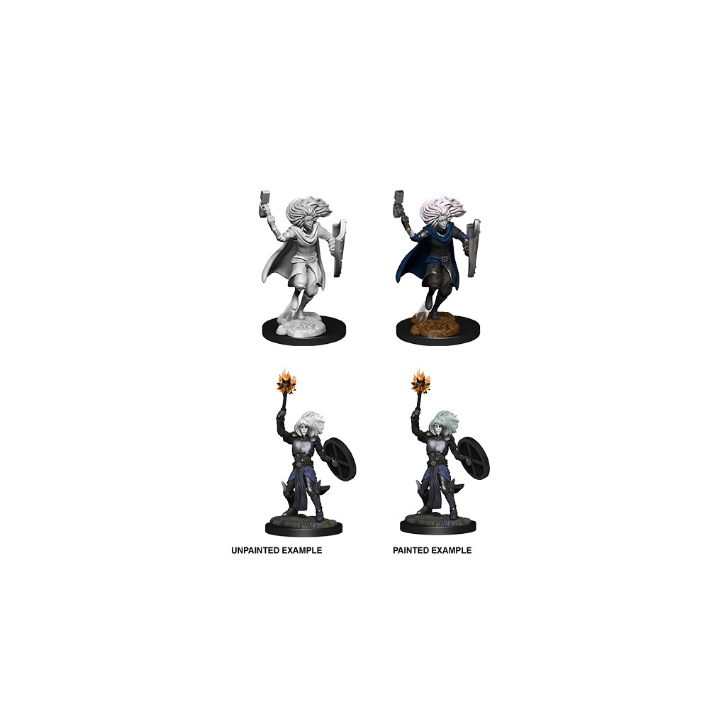 D&D Nolzur's Marvelous Unpainted Miniatures: Changeling Cleric