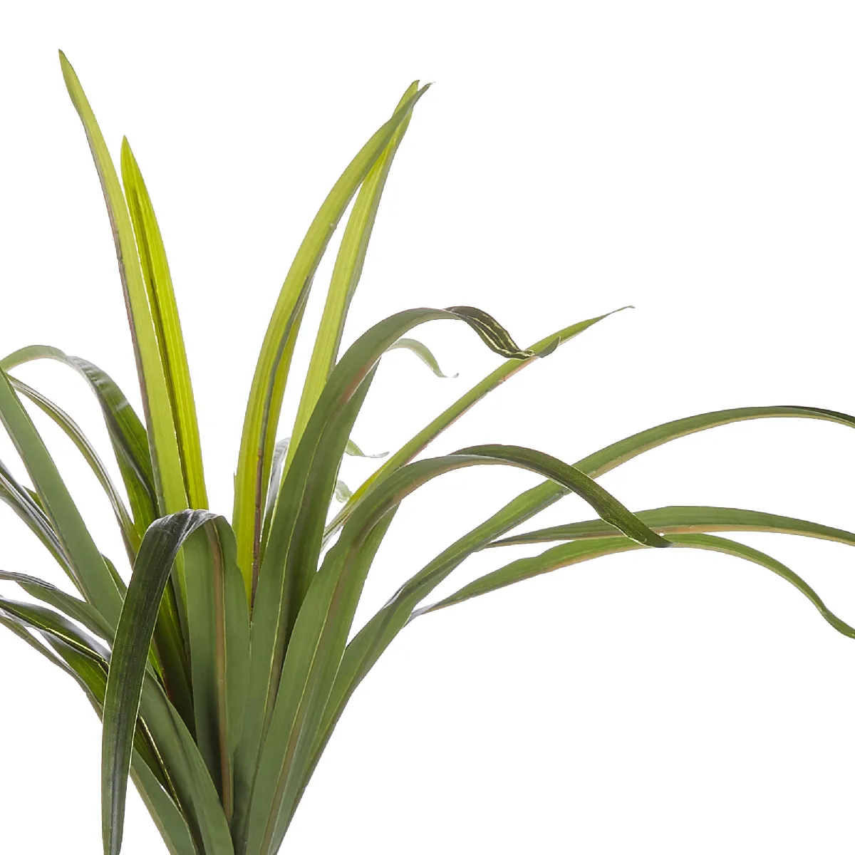 BELIANI DRACAENA ANITA 147 cm - Vert