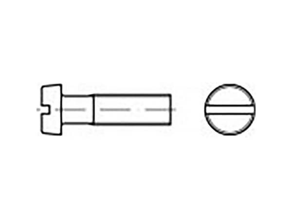 TOOLCRAFT TO-6852534 Cylinderhovedskrue M3 50 mm Kærv DIN 84 Stål verzinkt 1000 stk