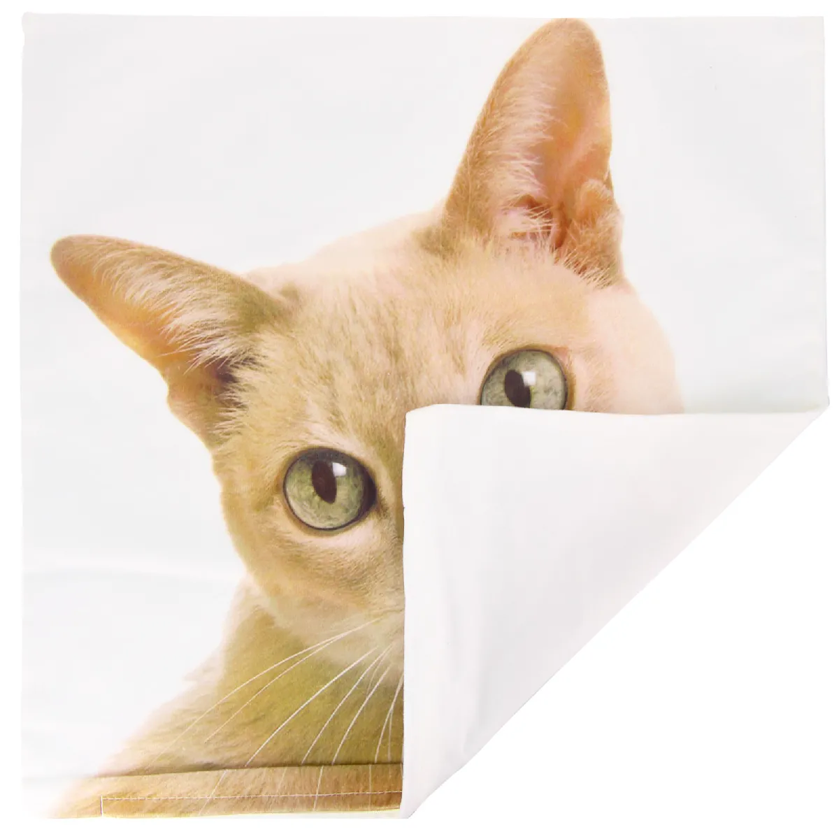 AVIZAR Lot de 2 Housses de Coussin 40x40 cm Motif Chat