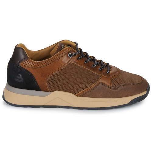 Bullboxer -  - Marron