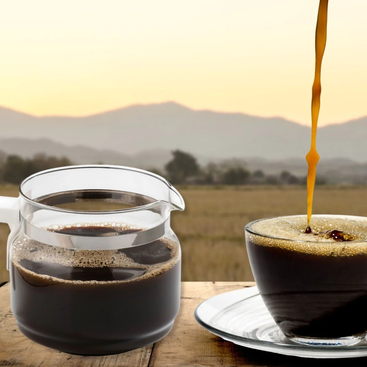 Verseuse à café compatible avec cafetière Run 835 Fackelmann