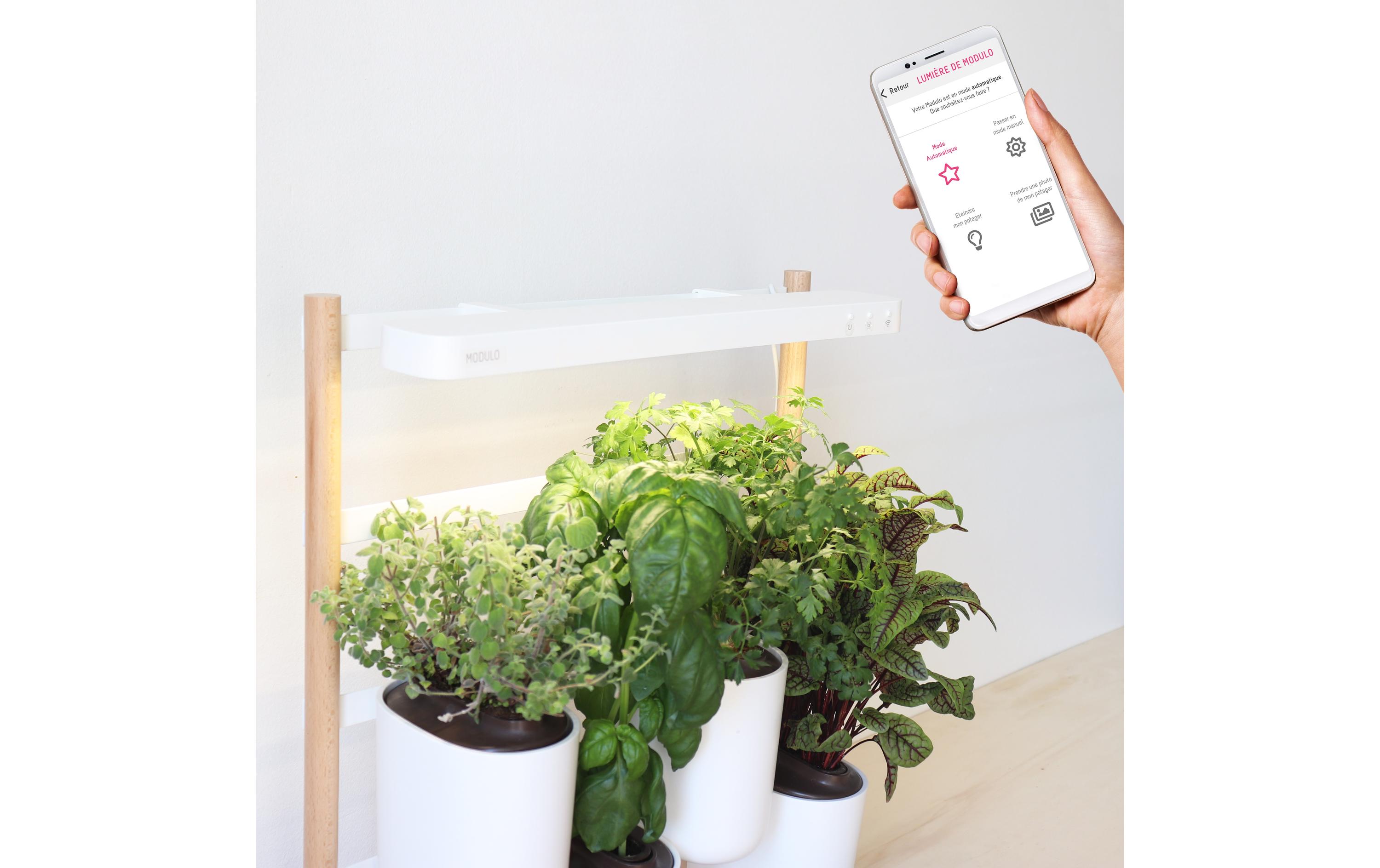 Kräutertopf Indoor Modulo 2 Weiss<br>Kräutergarten, klein und fein