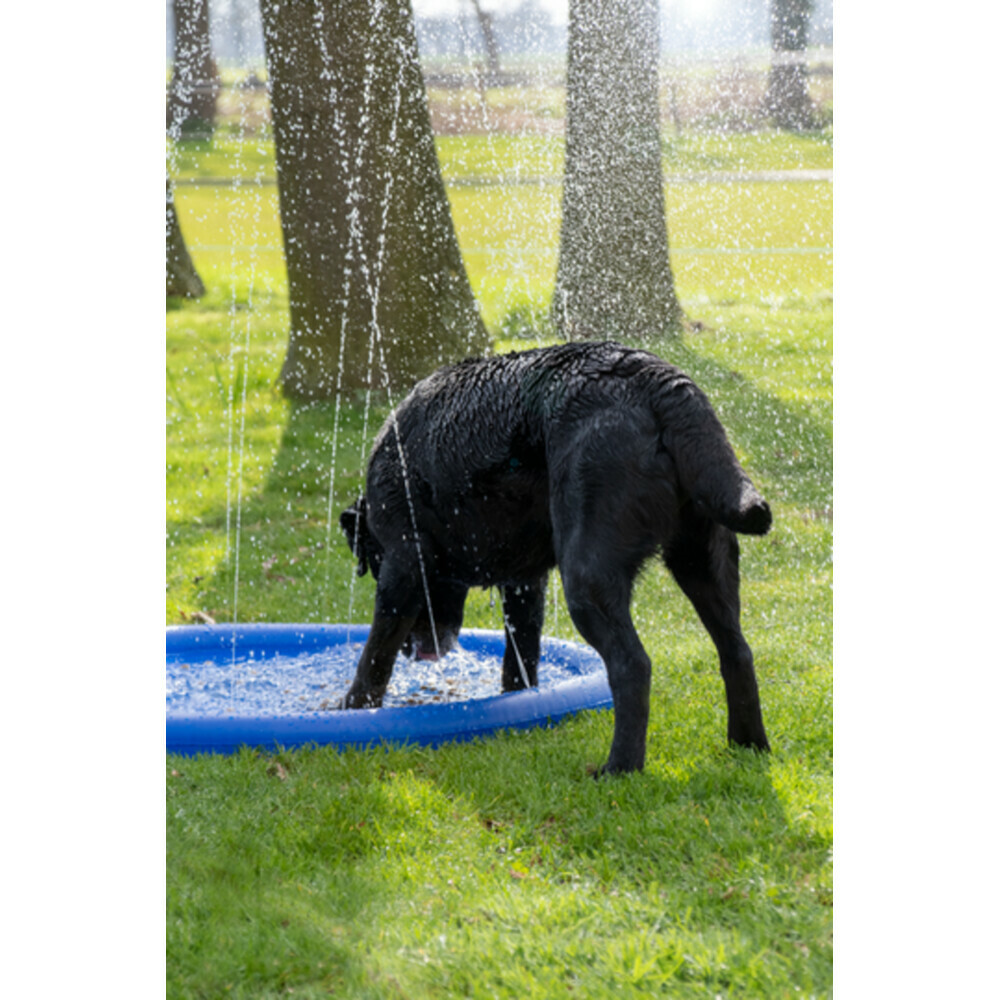 Coolpets Splash Pool Sproeier 100 cm
