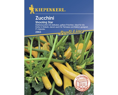 Courgette Shooting Star Kiepenkerl Hybride Zaad Groentezaden