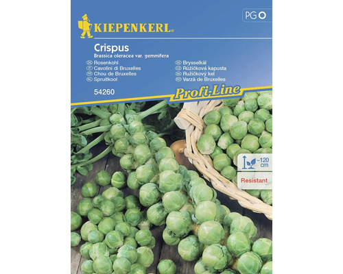 Spruitjes Kiepenkerl groentezaden