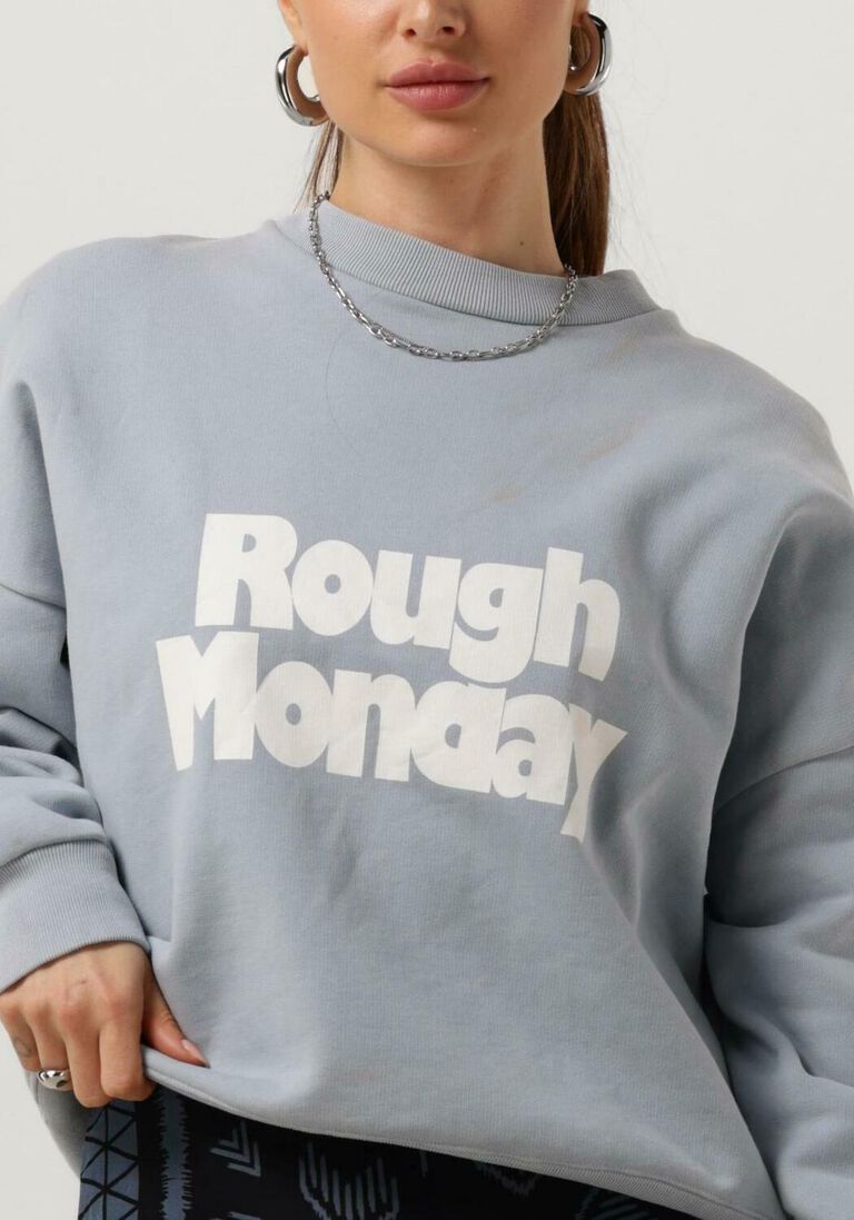 ROUGH STUDIOS lichtblauwe rough studios sweater rough monday sweater