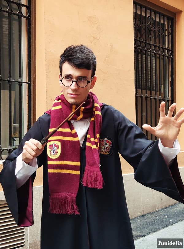 Harry Potter Tryllestav (Offisiell Reproduksjon)