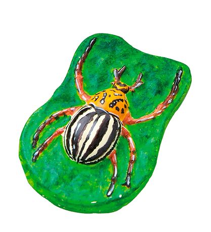 SES Creative - Cast & Paint - Leuchtet im Dunkeln - Insekten