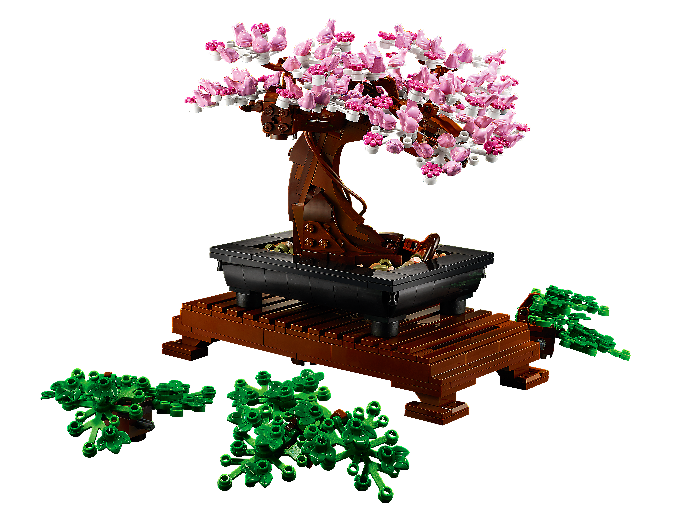 Bonsai 10281